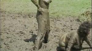 vintage-film-3-wsm-tv---stream_8.jpg